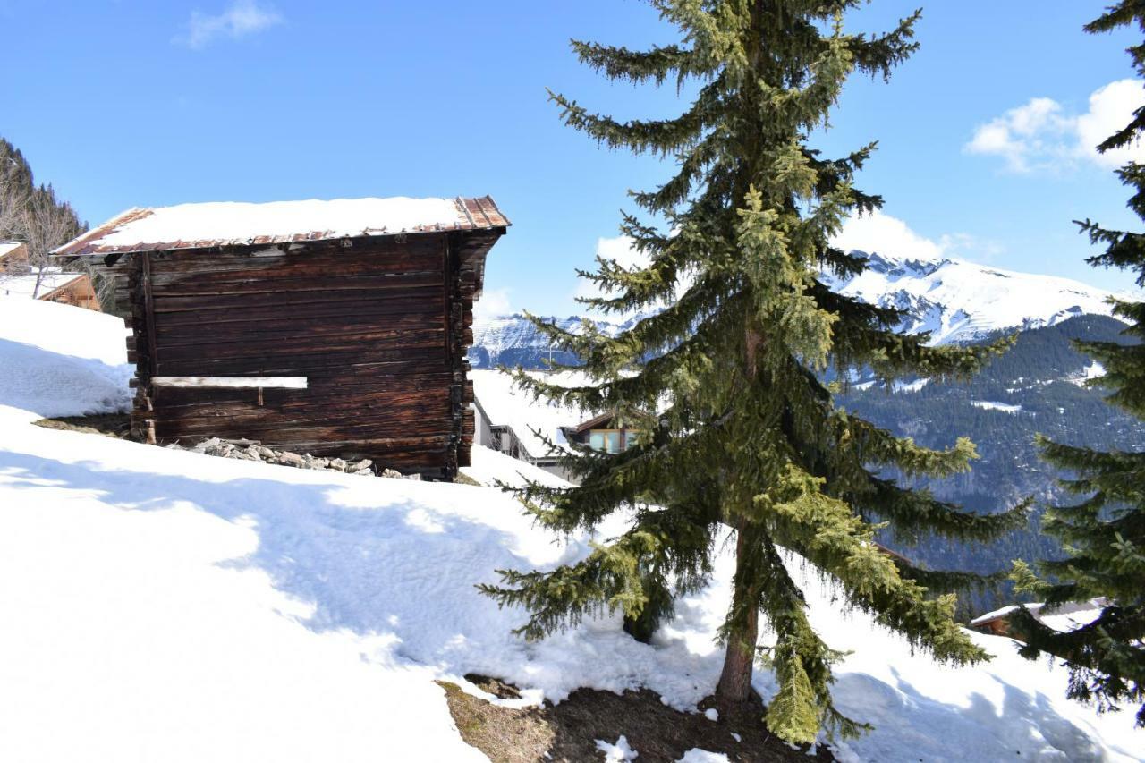 Sportlodge Muerren Exterior photo